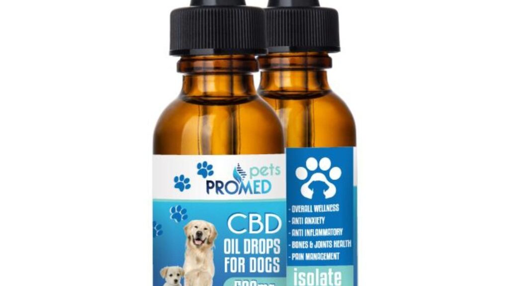 découvrez les bienfaits du cbd pour chiens : soulagement naturel de l'anxiété, douleurs et inflammation. offrez à votre compagnon un bien-être optimal avec nos produits cbd de qualité adaptés aux chiens.